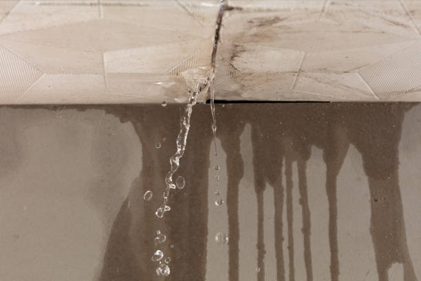 Professional Structural Drying technician working in Vernon, NJ